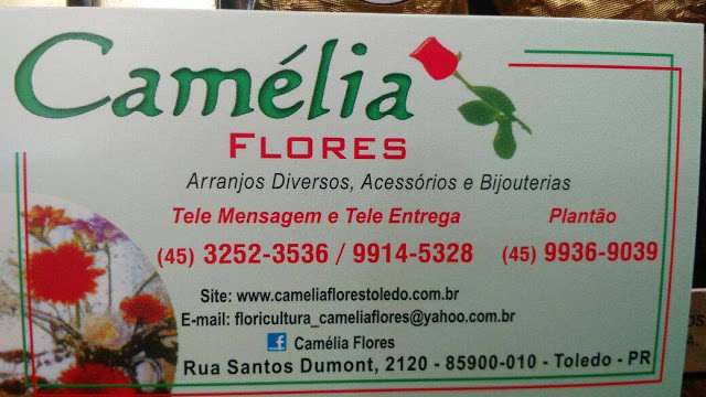 Camélia Flores em Toledo, Paraná